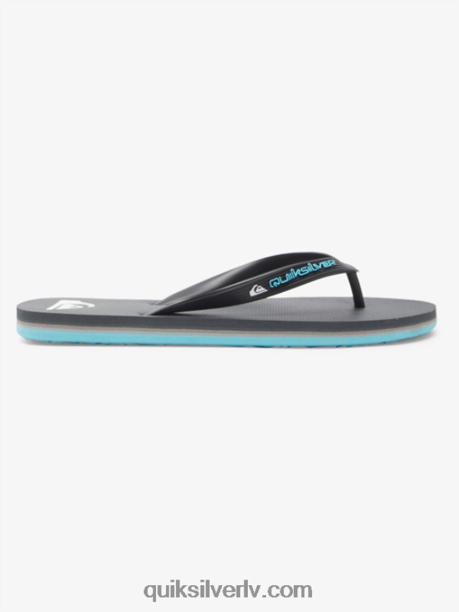 vīriešiem Quiksilver molokai core flip-flops pelēks 4 88064R594