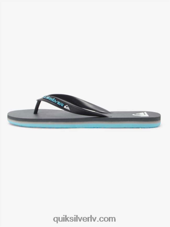 vīriešiem Quiksilver molokai core flip-flops pelēks 4 88064R594