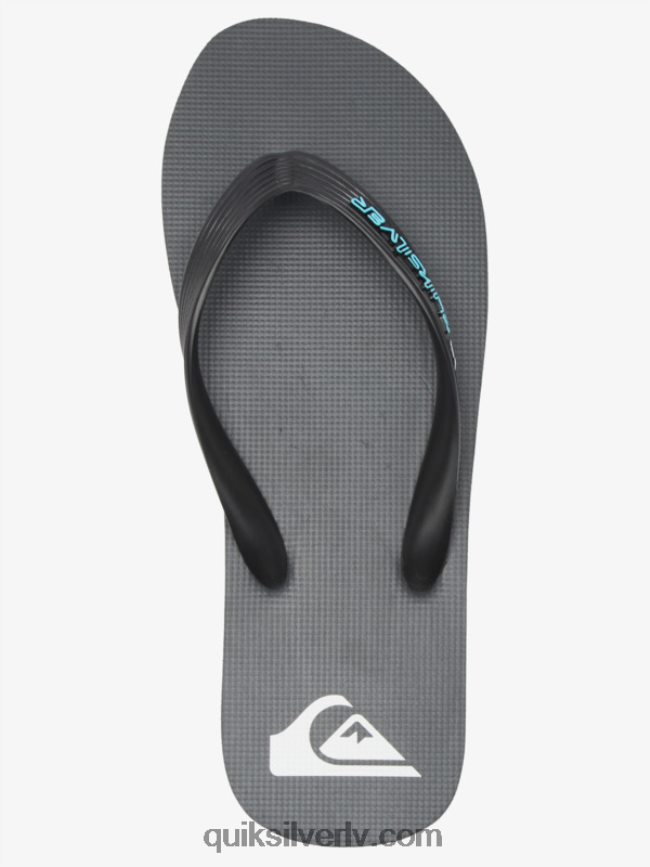 vīriešiem Quiksilver molokai core flip-flops pelēks 4 88064R594