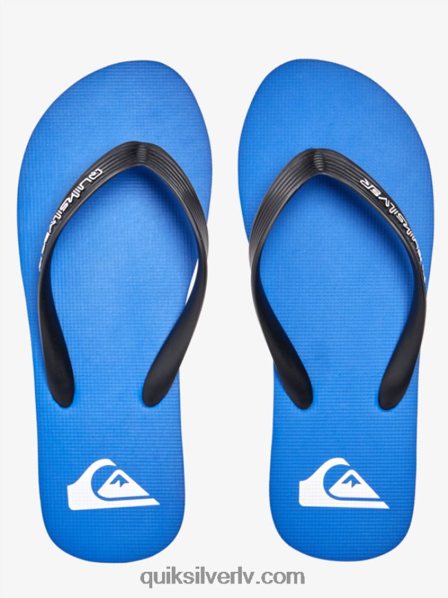 vīriešiem Quiksilver molokai core flip-flops zils 1 88064R593