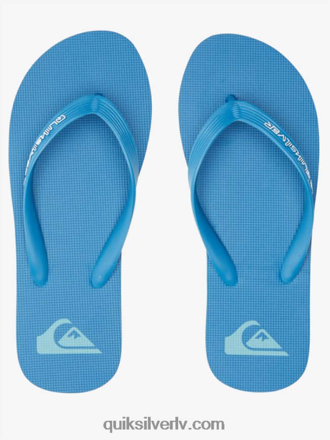 vīriešiem Quiksilver molokai core flip-flops zils 2 88064R596
