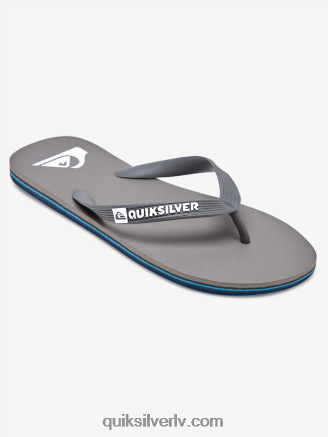 vīriešiem Quiksilver molokai flip-flops pelēks 3 88064R1592