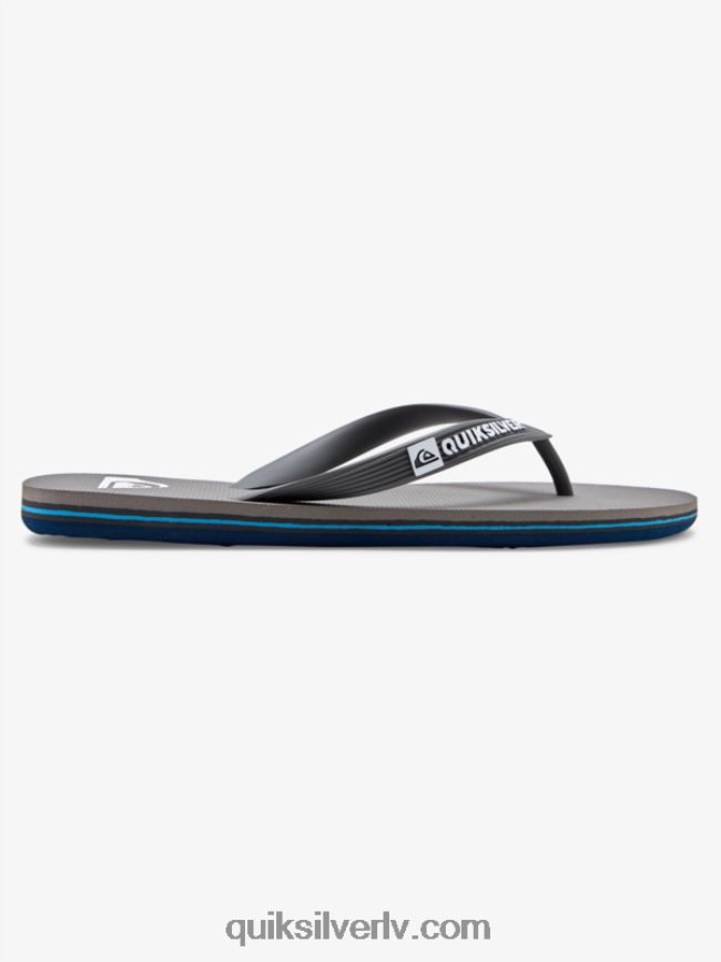 vīriešiem Quiksilver molokai flip-flops pelēks 3 88064R1592