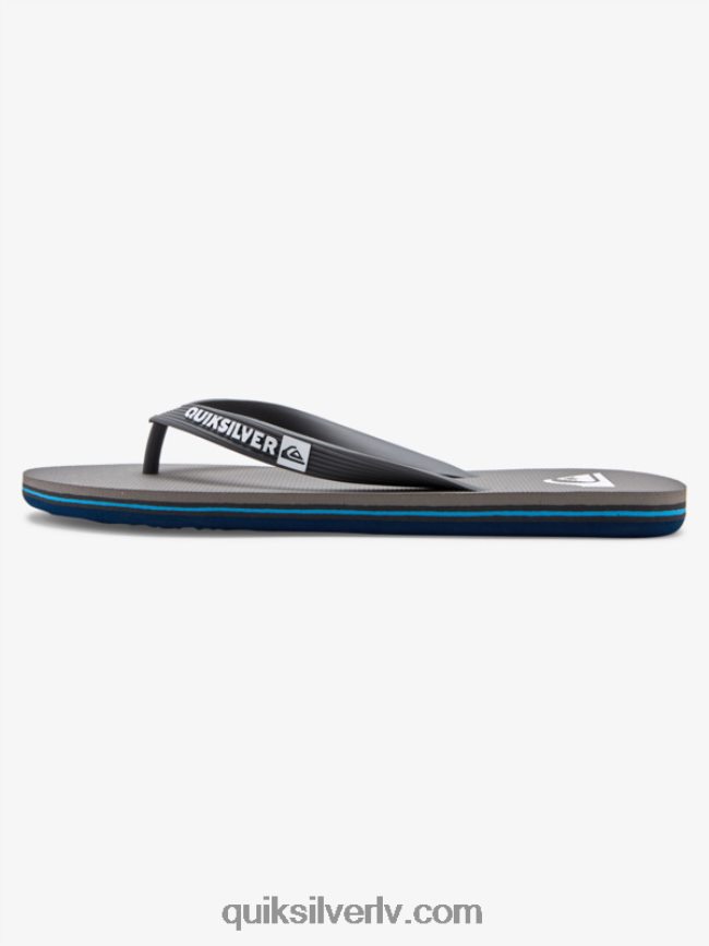 vīriešiem Quiksilver molokai flip-flops pelēks 3 88064R1592
