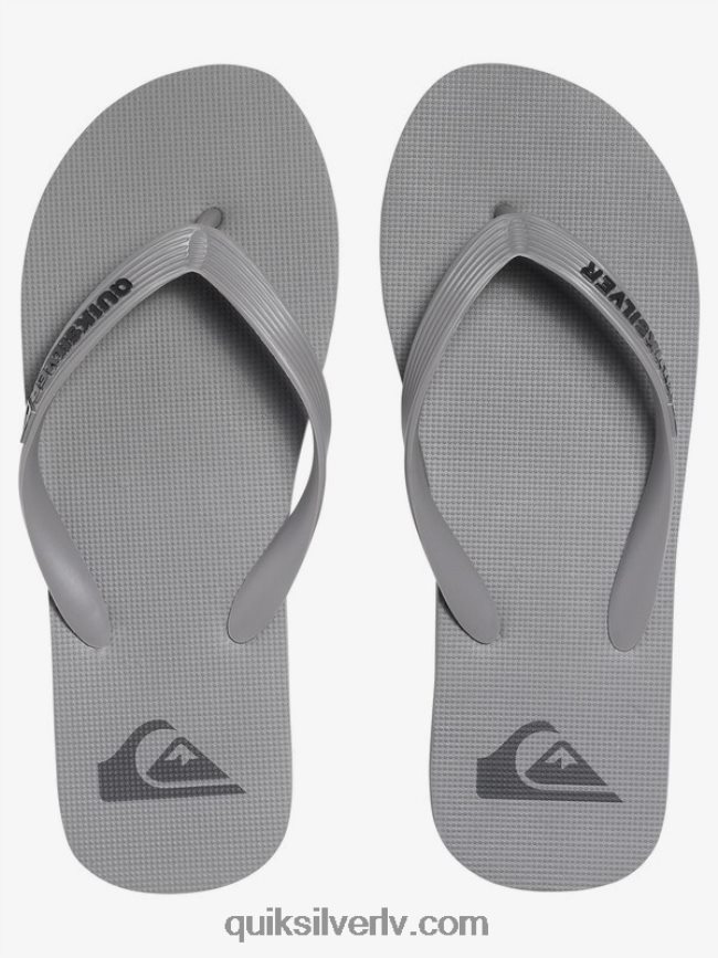 vīriešiem Quiksilver molokai flip-flops pelēks 88064R1590