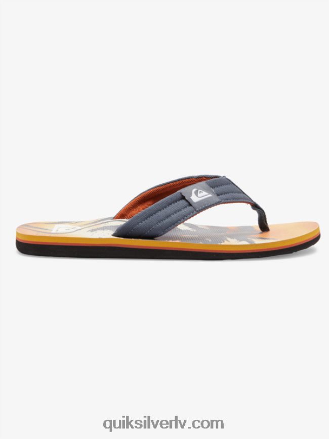 vīriešiem Quiksilver molokai layback sandales pelēks 1 88064R493