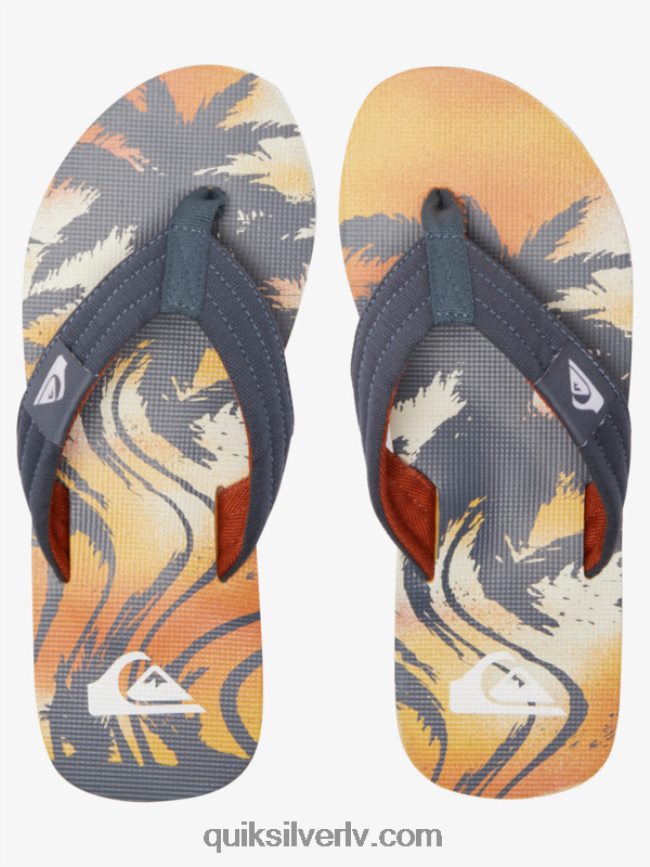 vīriešiem Quiksilver molokai layback sandales pelēks 1 88064R493