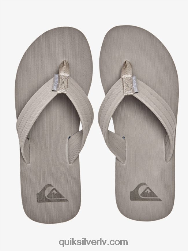 vīriešiem Quiksilver molokai layback sandales pelēks/balts 88064R1250