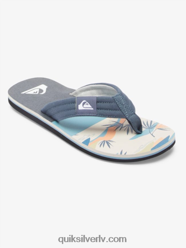 vīriešiem Quiksilver molokai layback sandales pelēks/balts 88064R494