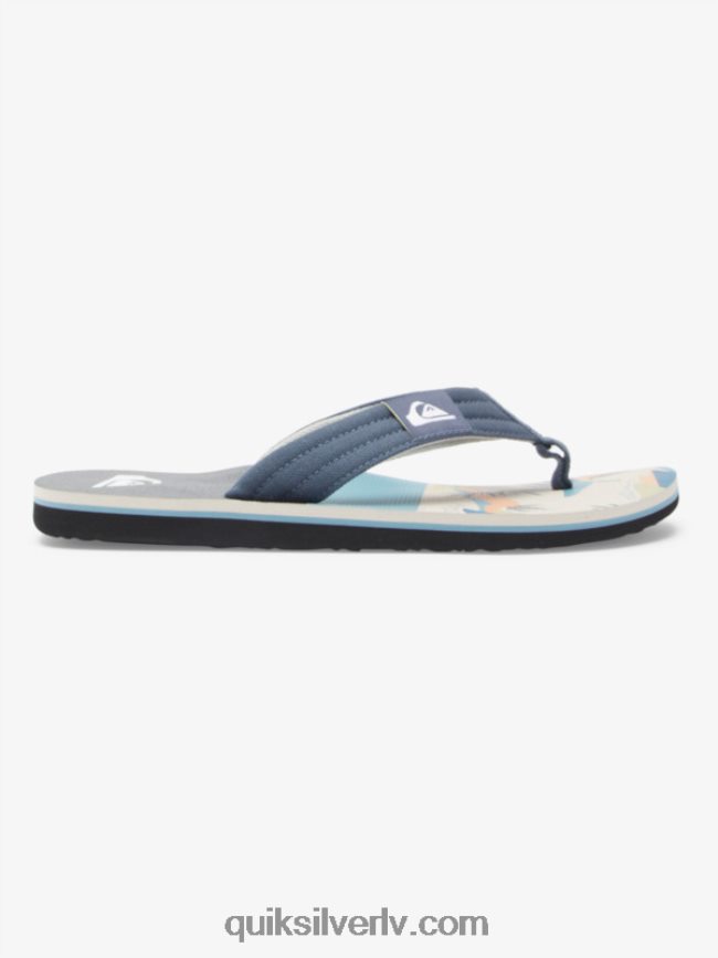 vīriešiem Quiksilver molokai layback sandales pelēks/balts 88064R494