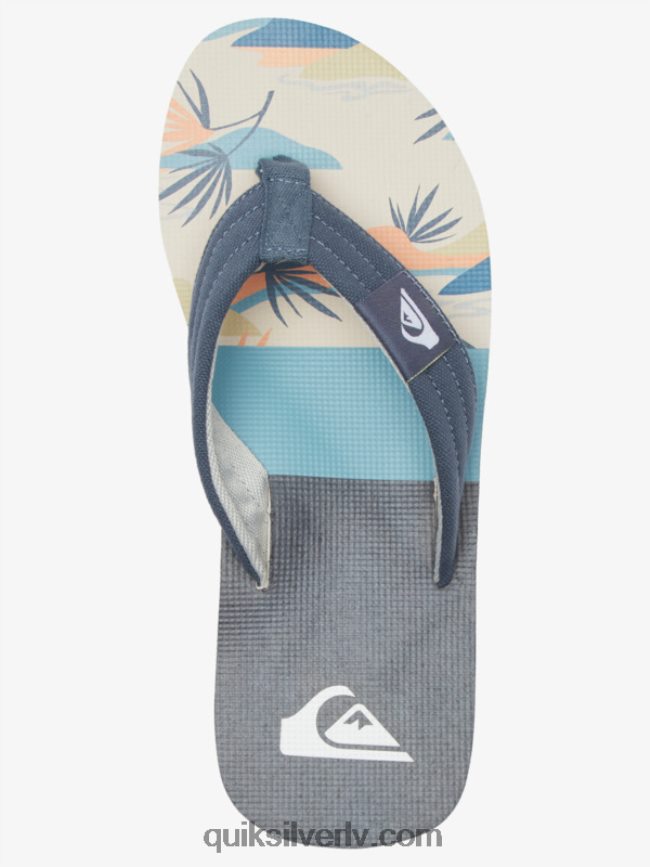 vīriešiem Quiksilver molokai layback sandales pelēks/balts 88064R494