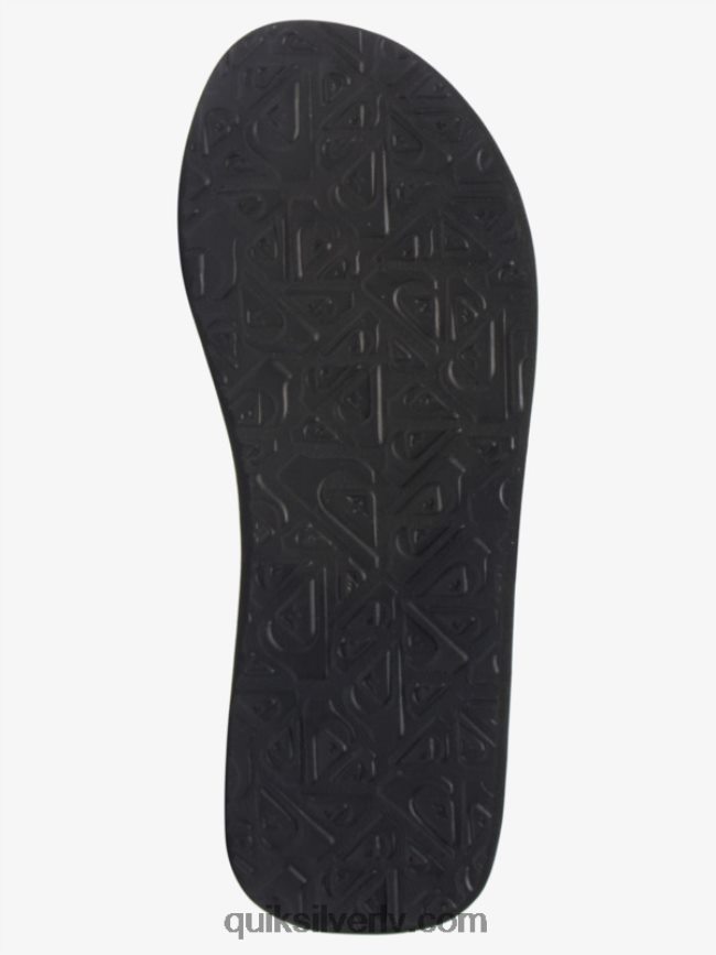 vīriešiem Quiksilver molokai layback sandales pelēks/balts 88064R494