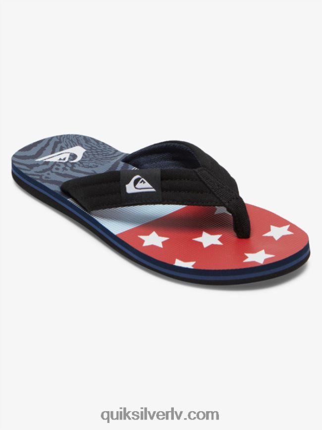 vīriešiem Quiksilver molokai layback sandales zils 1 88064R497