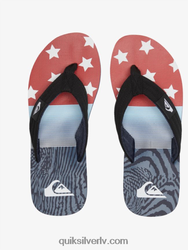 vīriešiem Quiksilver molokai layback sandales zils 1 88064R497