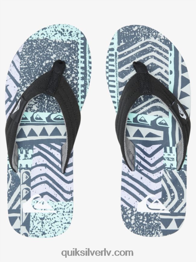 vīriešiem Quiksilver molokai layback sandales zils/pelēks 88064R504