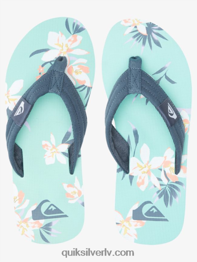 vīriešiem Quiksilver molokai layback sandales zils zaļš 88064R505
