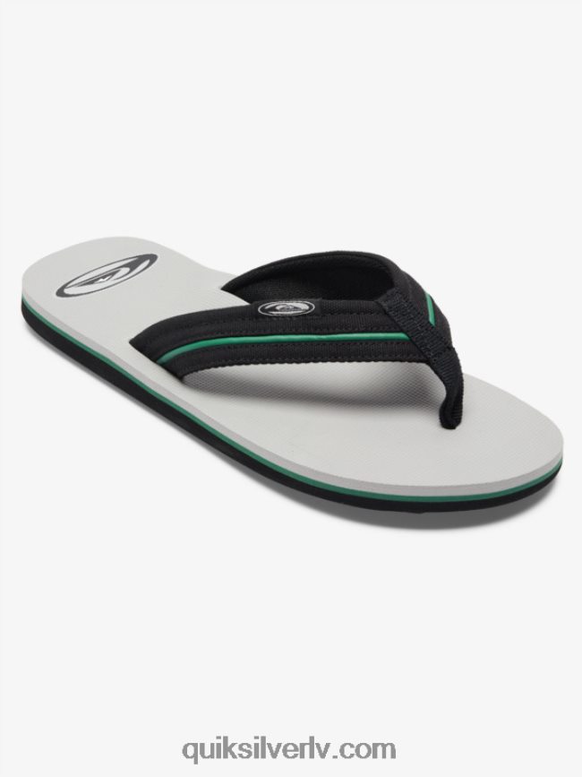 vīriešiem Quiksilver molokai layback saturn sandales pelēks 1 88064R1294