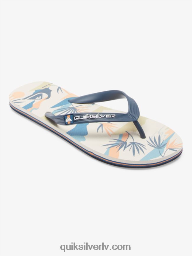 vīriešiem Quiksilver molokai mākslas flip-flops melns/balts/zils 88064R515