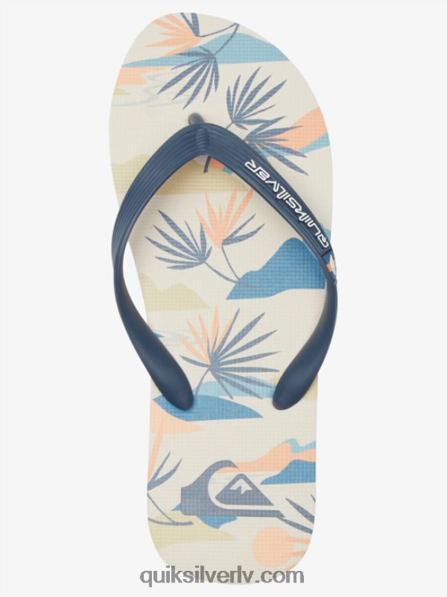 vīriešiem Quiksilver molokai mākslas flip-flops melns/balts/zils 88064R515