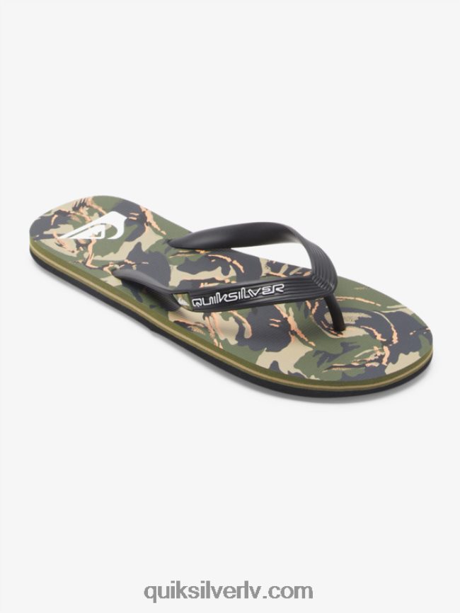 vīriešiem Quiksilver molokai mākslas flip-flops melns/zaļš 88064R516