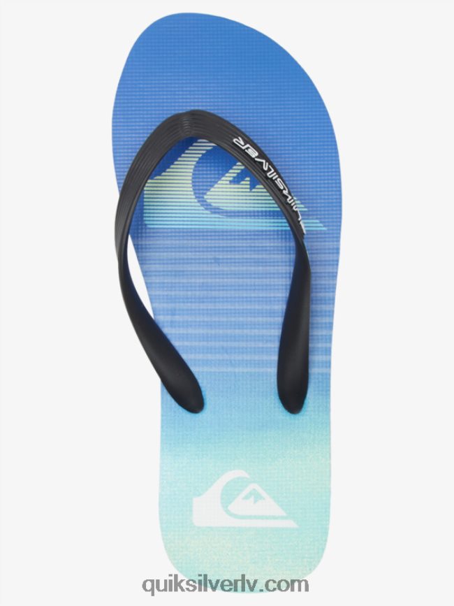 vīriešiem Quiksilver molokai mākslas flip-flops melns/zaļš/zils 88064R518