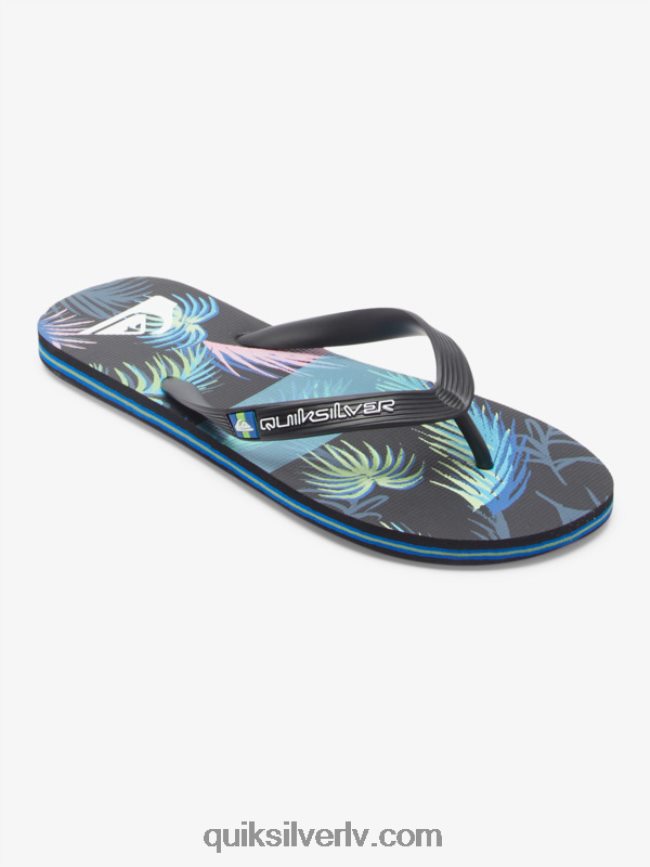 vīriešiem Quiksilver molokai mākslas flip-flops melns/zils 88064R517
