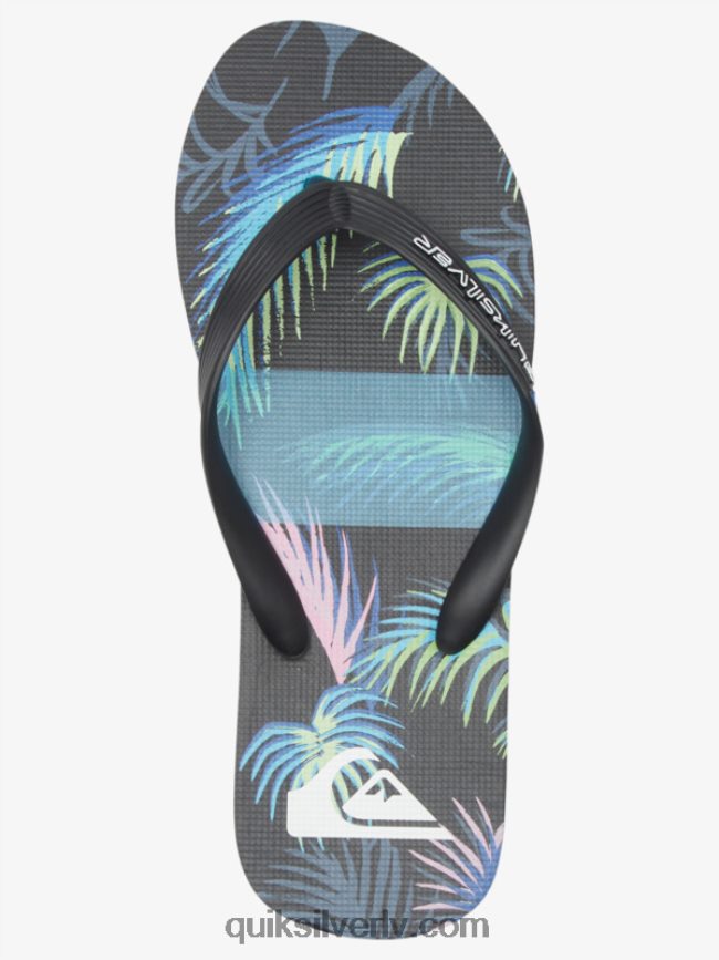 vīriešiem Quiksilver molokai mākslas flip-flops melns/zils 88064R517
