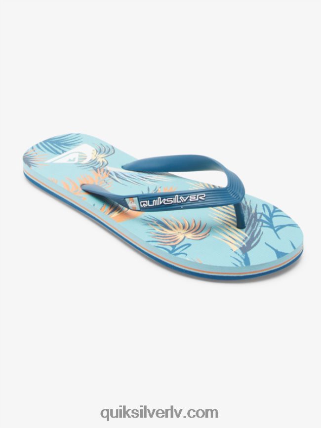 vīriešiem Quiksilver molokai mākslas flip-flops zils/melns/dzeltens 88064R519