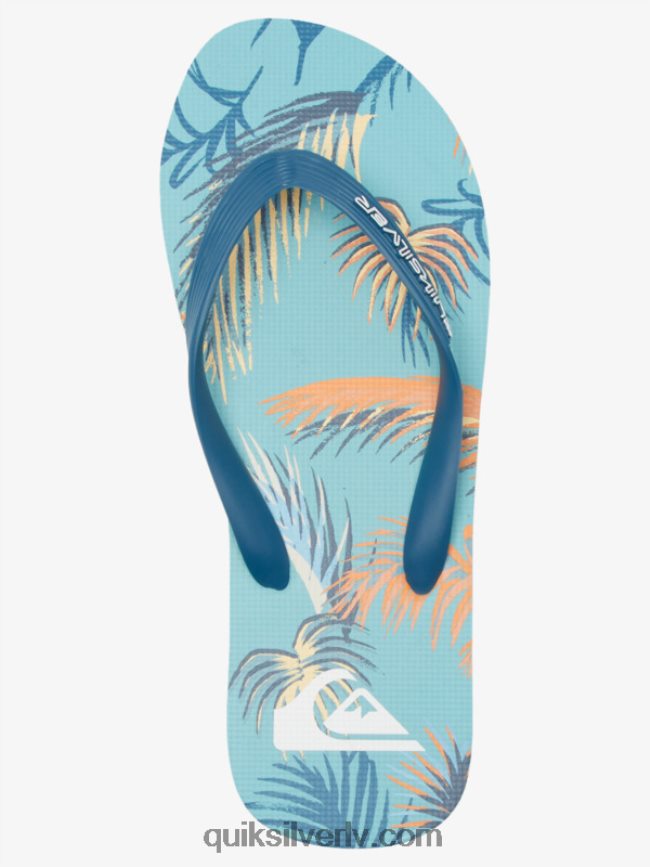 vīriešiem Quiksilver molokai mākslas flip-flops zils/melns/dzeltens 88064R519