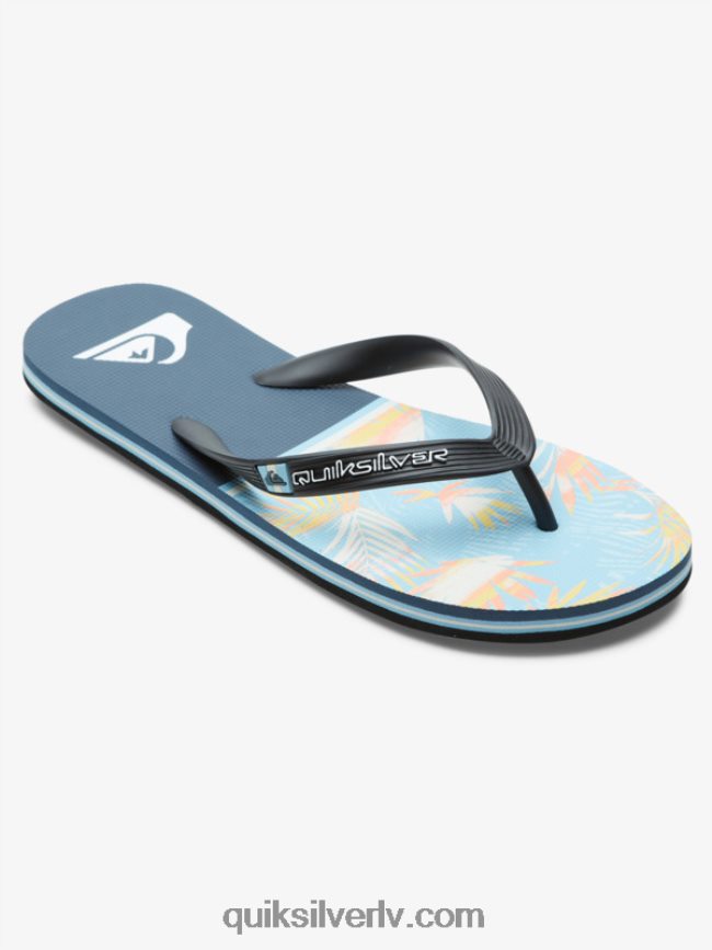 vīriešiem Quiksilver molokai nodaļas flip flops zils 1 88064R1638