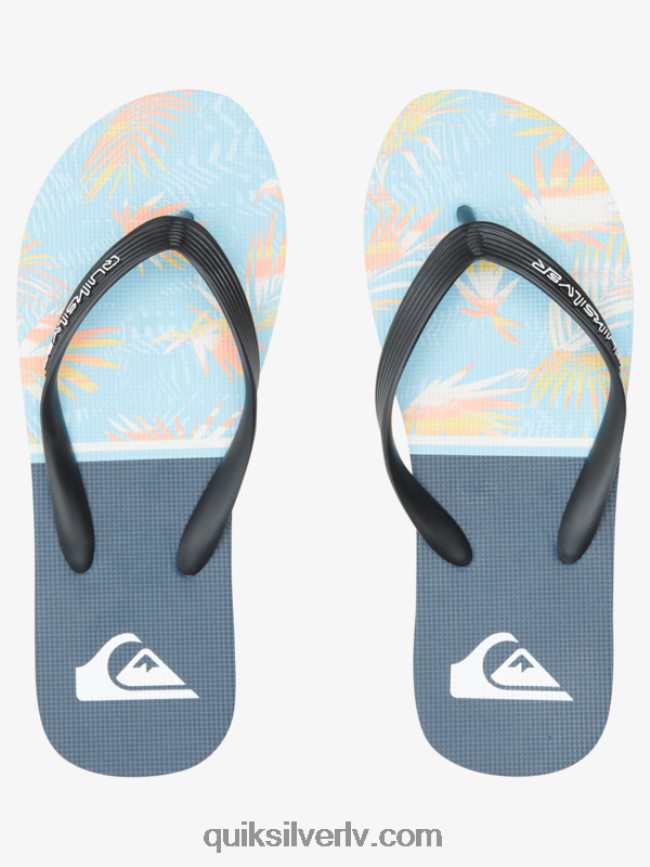 vīriešiem Quiksilver molokai nodaļas flip flops zils 1 88064R1638