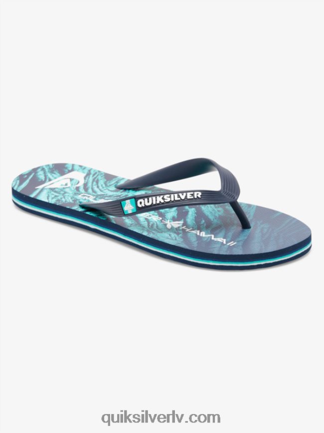 vīriešiem Quiksilver molokai pašmāju flip-flops zaļš 1 88064R1861