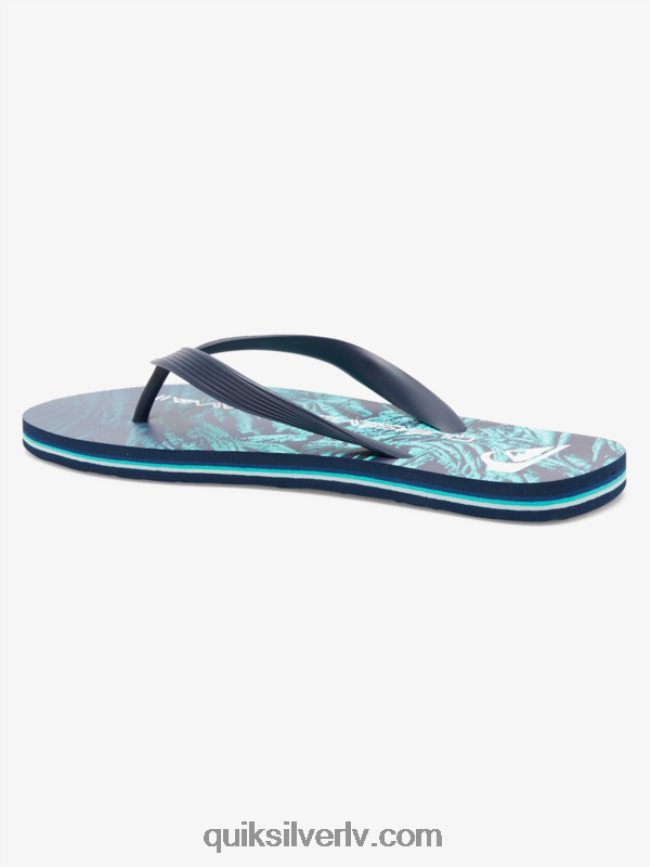 vīriešiem Quiksilver molokai pašmāju flip-flops zaļš 1 88064R1861