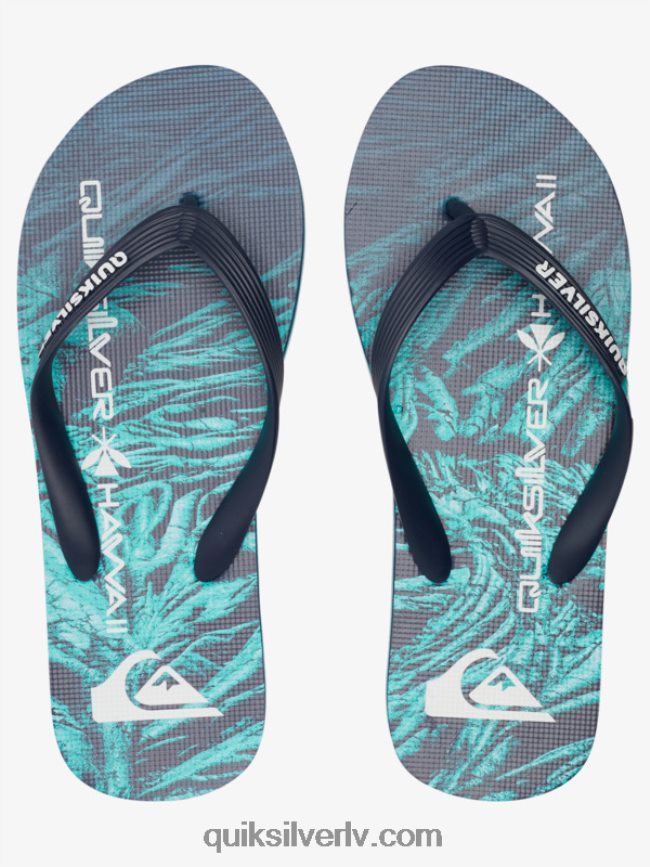 vīriešiem Quiksilver molokai pašmāju flip-flops zaļš 1 88064R1861
