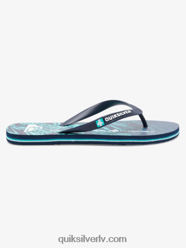 vīriešiem Quiksilver molokai pašmāju flip-flops zaļš 1 88064R1861