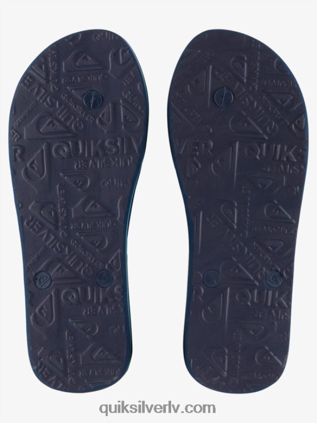 vīriešiem Quiksilver molokai pašmāju flip-flops zaļš 1 88064R1861