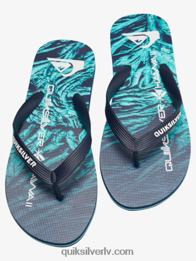 vīriešiem Quiksilver molokai pašmāju flip-flops zaļš 1 88064R1861