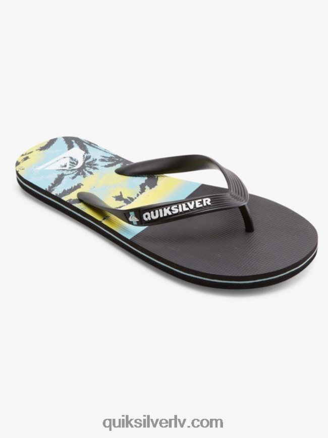vīriešiem Quiksilver molokai paneļu flip-flops melns 88064R574