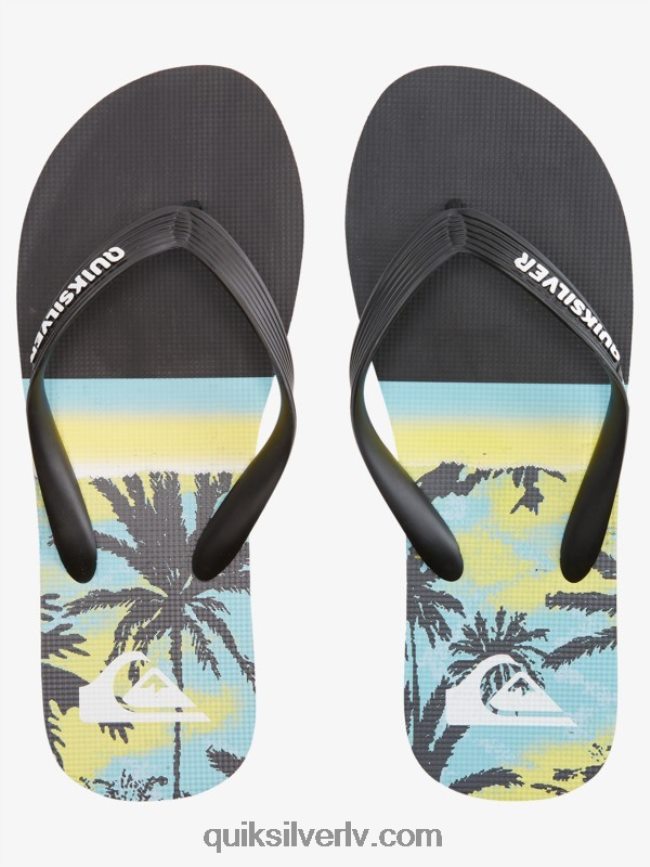 vīriešiem Quiksilver molokai paneļu flip-flops melns 88064R574