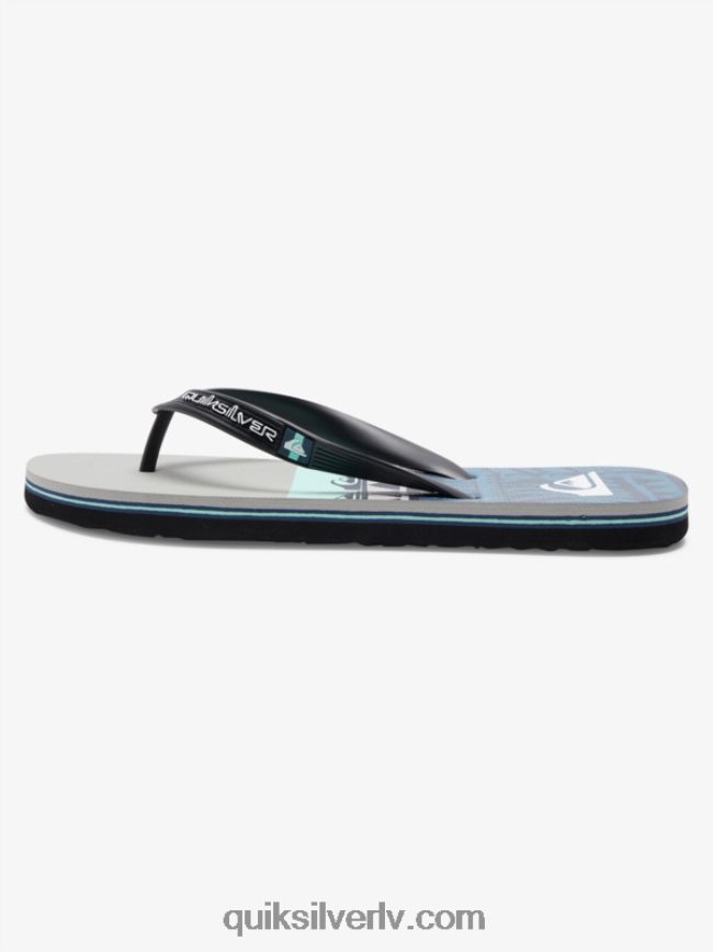 vīriešiem Quiksilver molokai paneļu flip-flops pelēks/melns/zils 88064R572