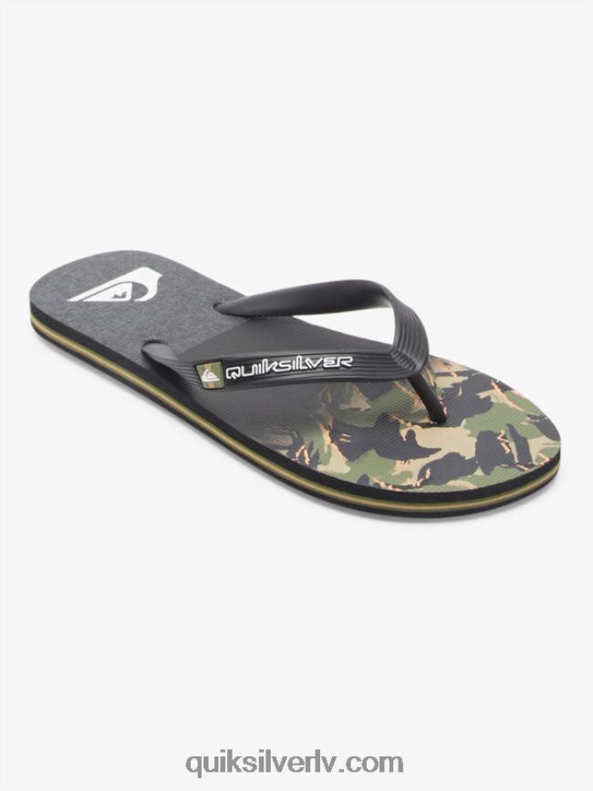 vīriešiem Quiksilver molokai paneļu flip-flops zaļš 1 88064R570