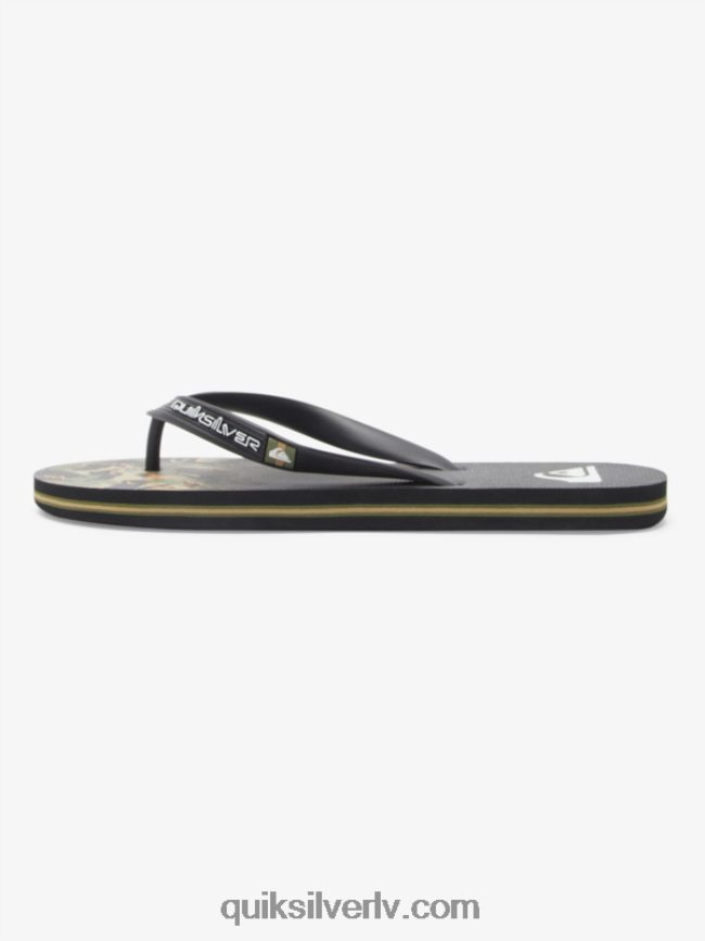 vīriešiem Quiksilver molokai paneļu flip-flops zaļš 1 88064R570