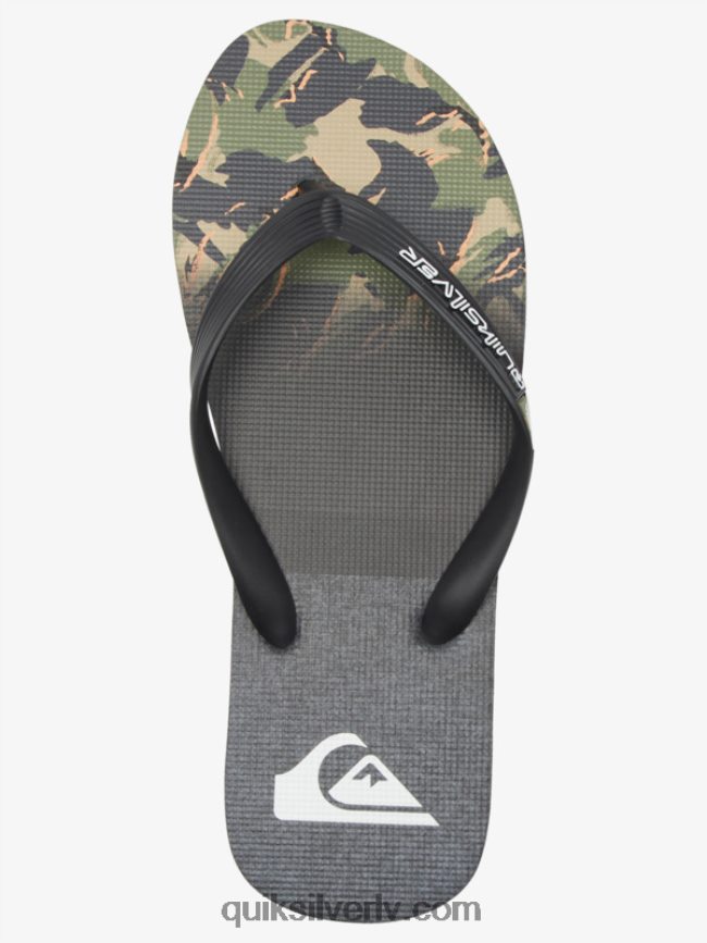 vīriešiem Quiksilver molokai paneļu flip-flops zaļš 1 88064R570