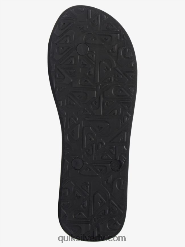 vīriešiem Quiksilver molokai paneļu flip-flops zaļš 1 88064R570
