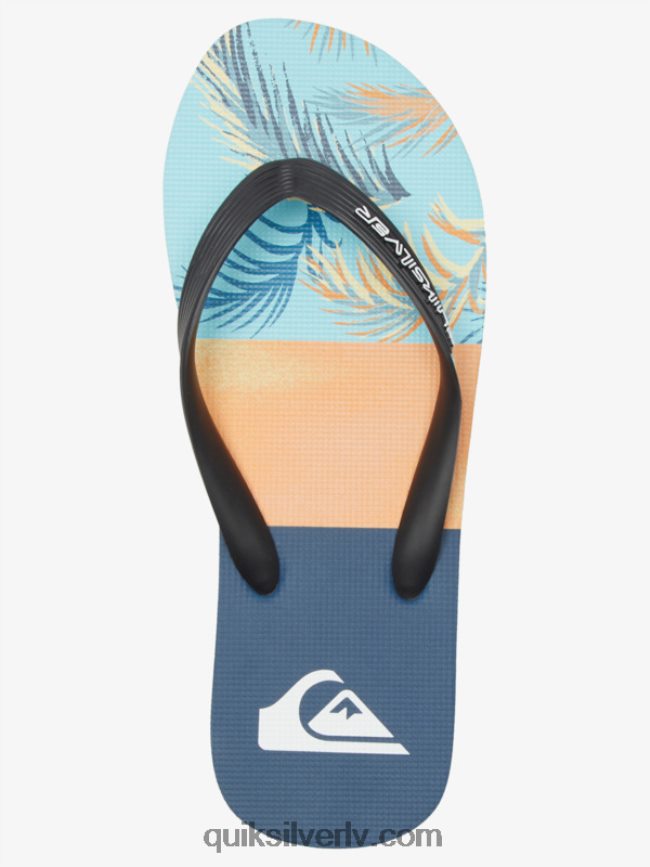 vīriešiem Quiksilver molokai paneļu flip-flops zils/melns/dzeltens 88064R569