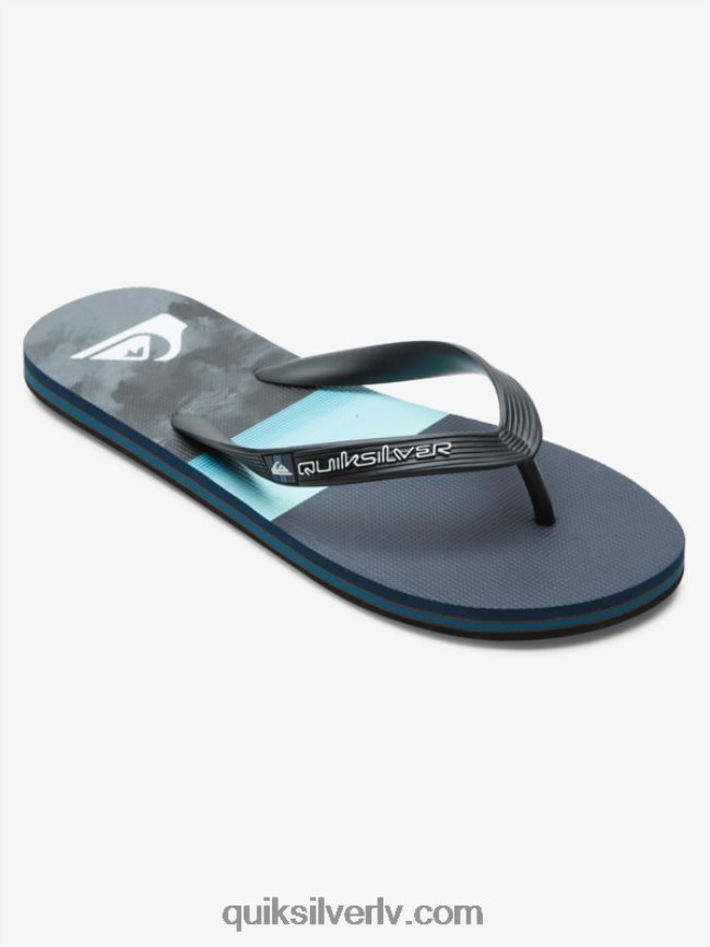 vīriešiem Quiksilver molokai paneļu flip-flops zils/pelēks 88064R573