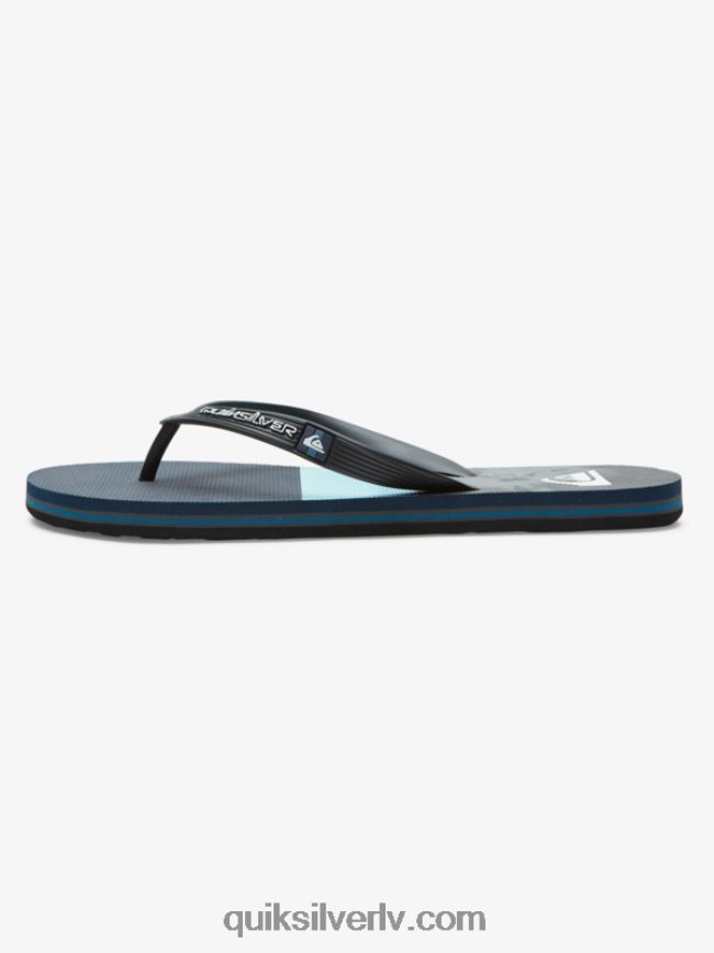 vīriešiem Quiksilver molokai paneļu flip-flops zils/pelēks 88064R573