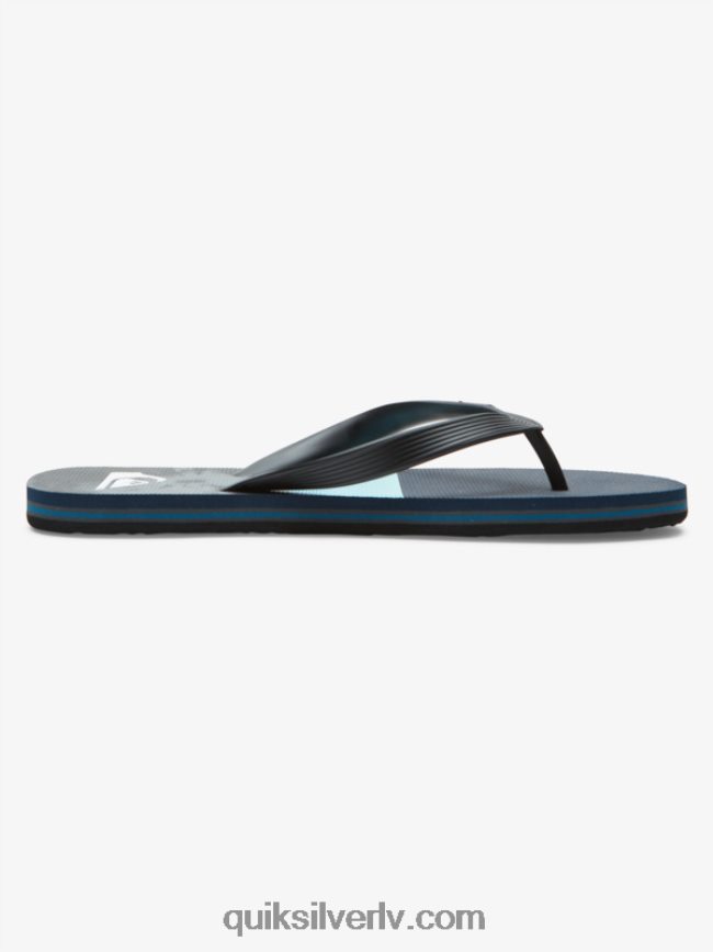 vīriešiem Quiksilver molokai paneļu flip-flops zils/pelēks 88064R573