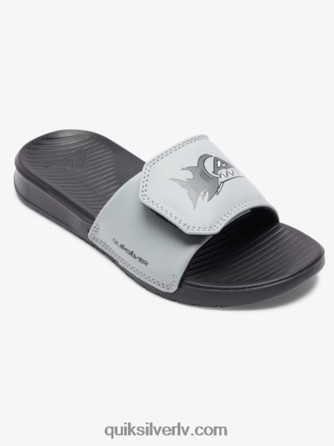zēni Quiksilver 8-16 spilgti krasta regulēšanas slīdņi pelēks 1 88064R2186
