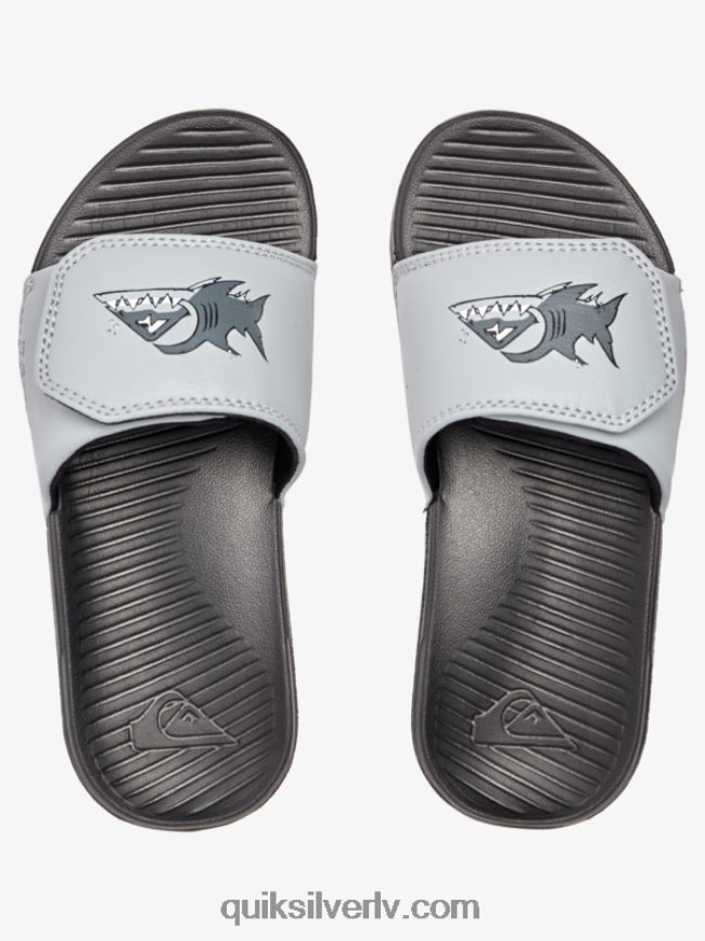 zēni Quiksilver 8-16 spilgti krasta regulēšanas slīdņi pelēks 1 88064R2186